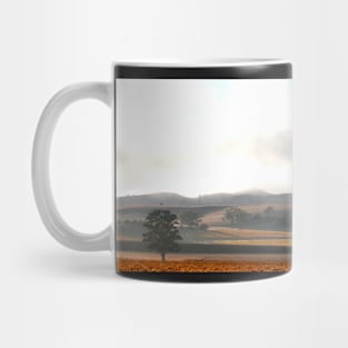 Early morning in the Barossa Valley Mug